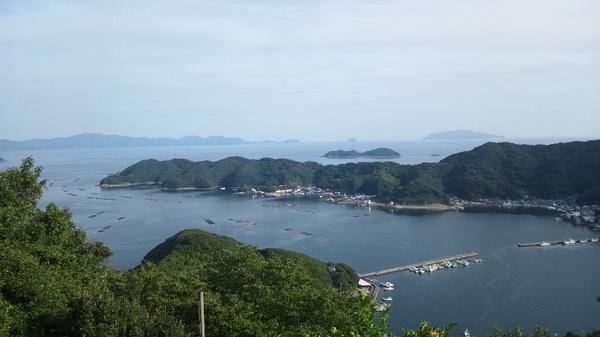 緑の山の奥には広い海岸沿いに見える街並みと山、その奥にの海と島を映した上空からの写真